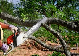  , USA Tree Care Services Pros